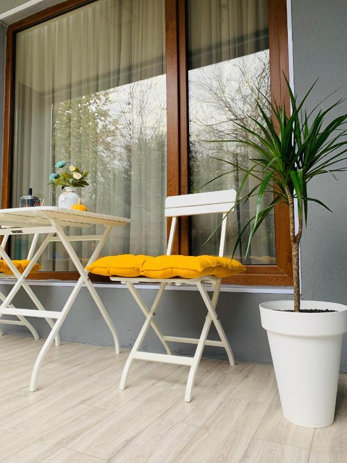 Sweet Apartment In 库塔伊西 外观 照片